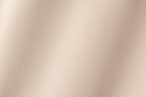 Torino beige 019783 | Synthetic woven fabrics | AKV International