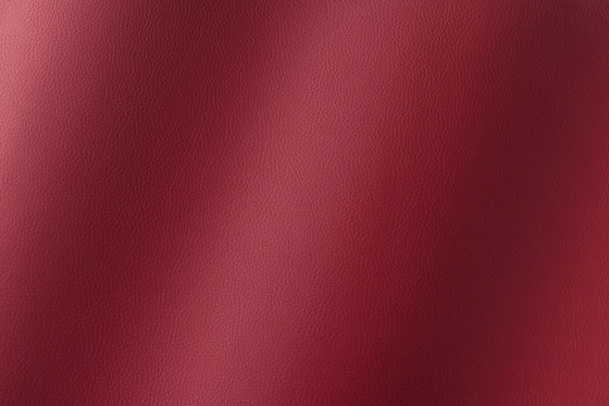 Torino port 019787 | Synthetic woven fabrics | AKV International