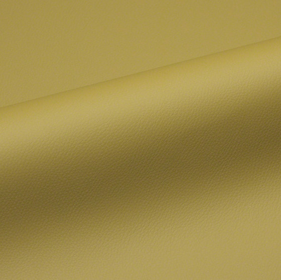 Silicone - Avail | Upholstery fabrics | CF Stinson