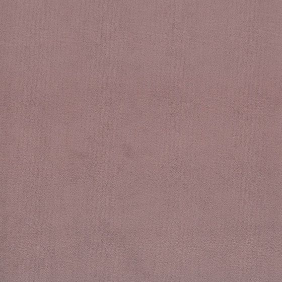Scot | Colour Hyacinth 07 | Dekorstoffe | DEKOMA