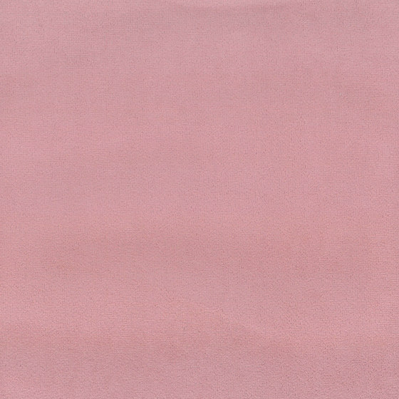Scot | Colour Gillyflower 31 | Drapery fabrics | DEKOMA