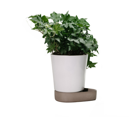 Sip Plant Pot |  | Case Furniture