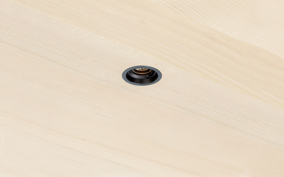 Mounting Ring 28 for Wood | Lampade soffitto incasso | GEORG BECHTER LICHT
