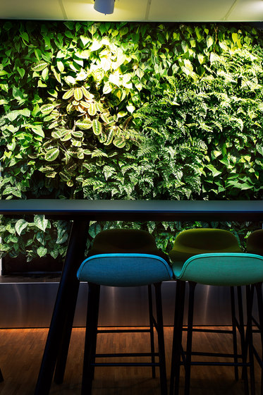 Indoor Vertical Garden | Åke Sundvall | Plant pots | Greenworks