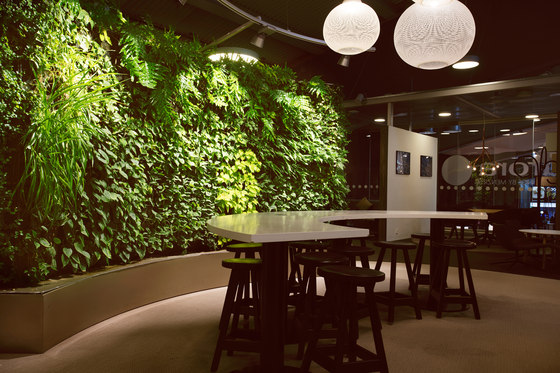 Indoor Vertical Garden | Arlanda Lounge Swedavia Room | Maceteros | Greenworks