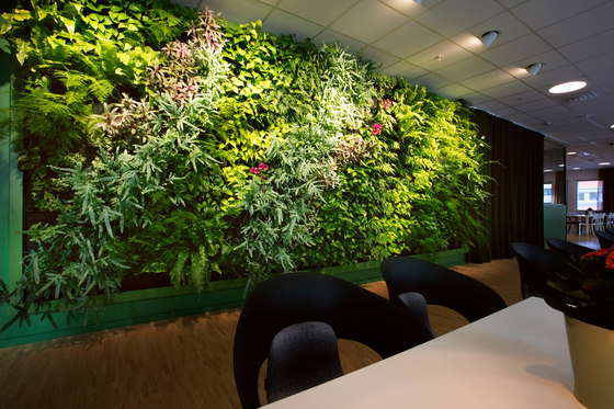 Indoor Vertical Garden | Preem Head office | Plant pots | Greenworks