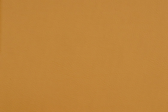 VALENCIA™ CAMEL | Upholstery fabrics | SPRADLING