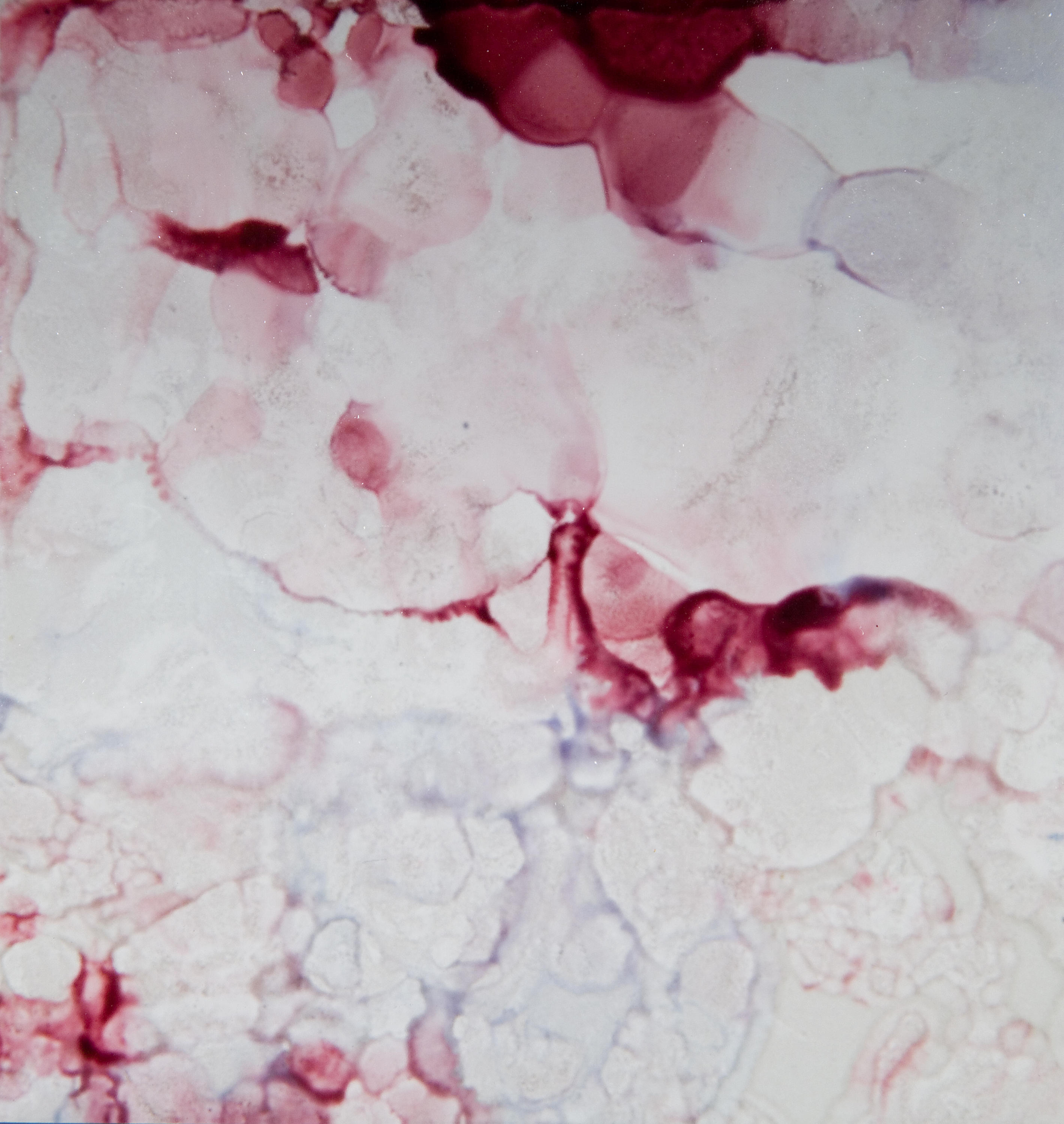 VETROSETA ATLANTA 8. Decorative glass from Antique Mirror Architonic