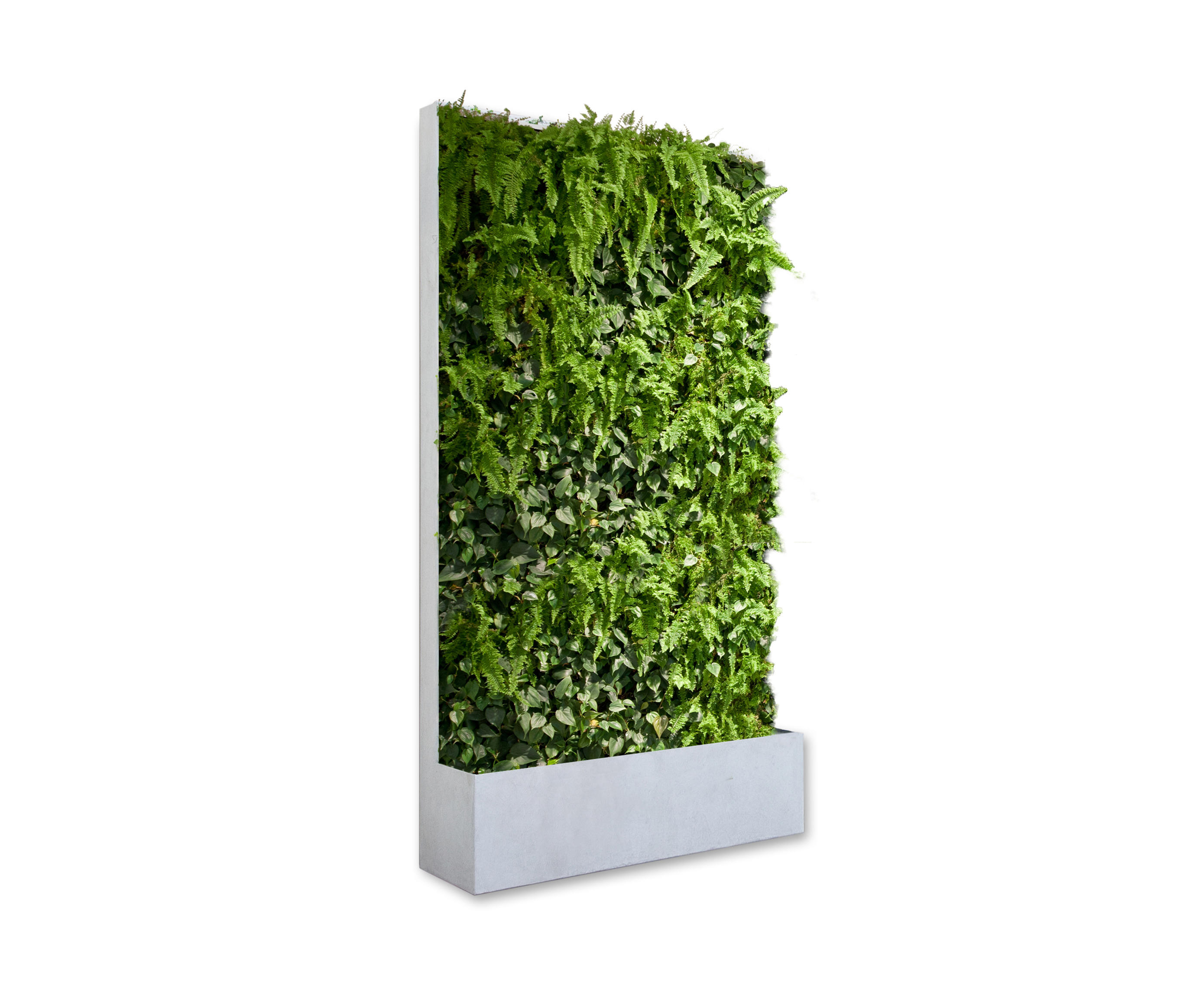 Grüne wand® pocket edition 124 raumteilsysteme von art aqua ...