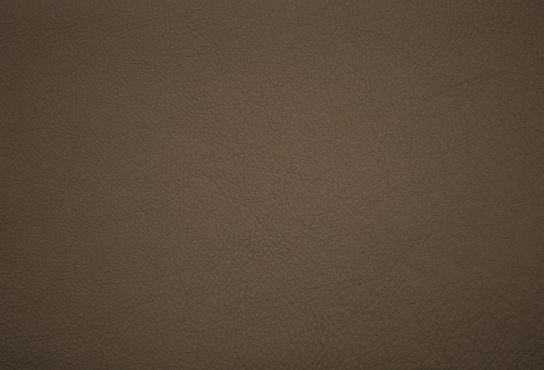 ELMOSOFT 13087 - Natural leather from Elmo | Architonic