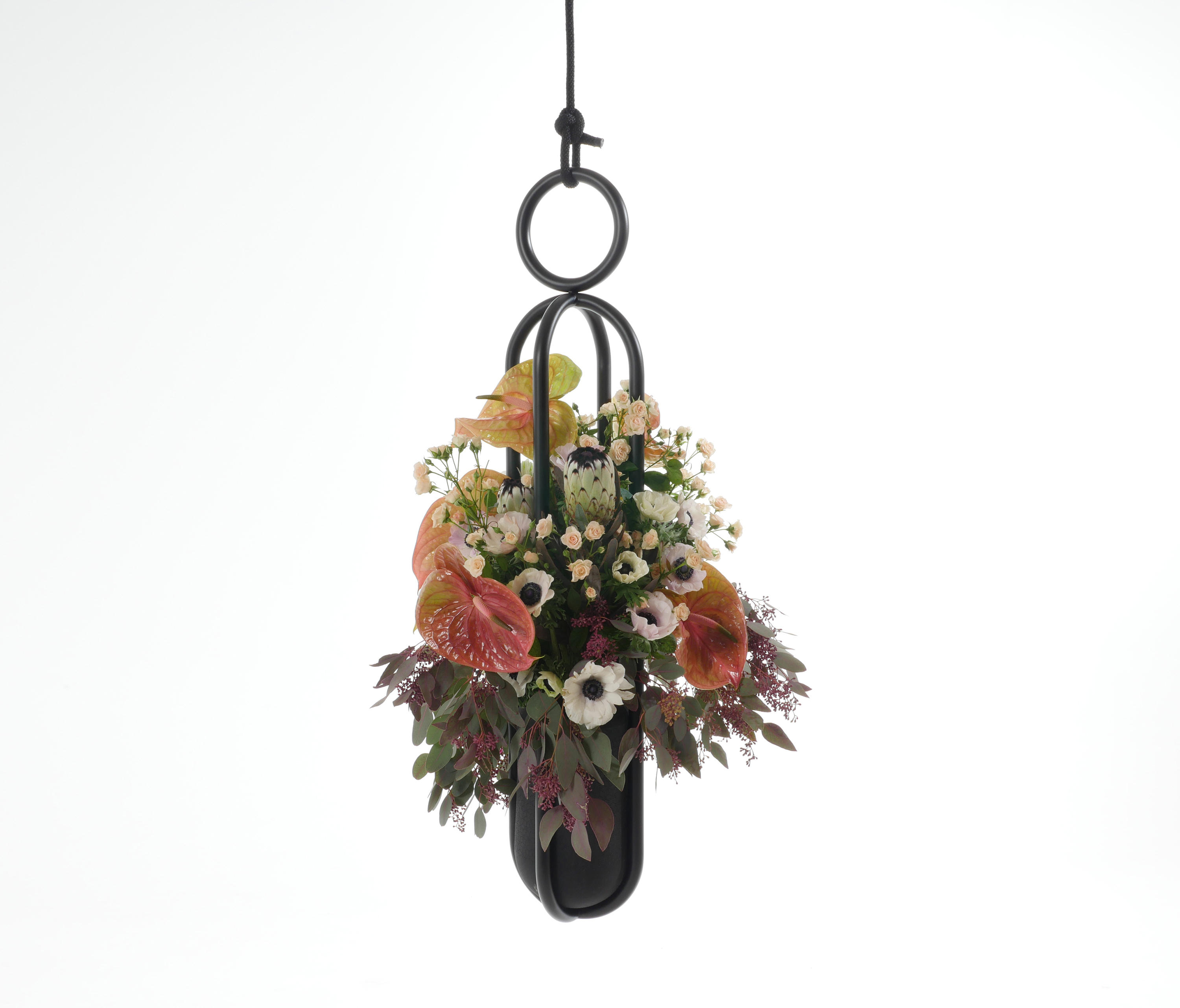 Blumenampel Edition hanging room object | Architonic | Blumenkästen