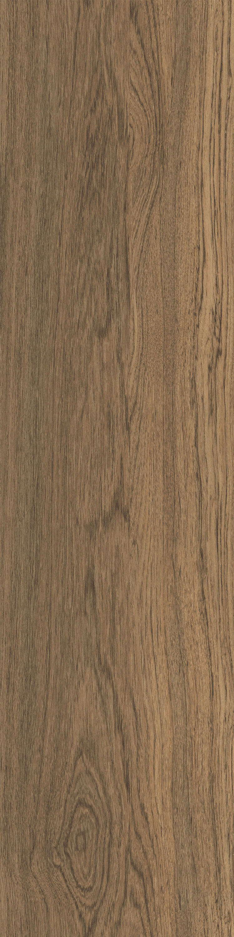 LEVEL SET NATURAL WOODGRAINS A00204 BEECH Synthetic panels from