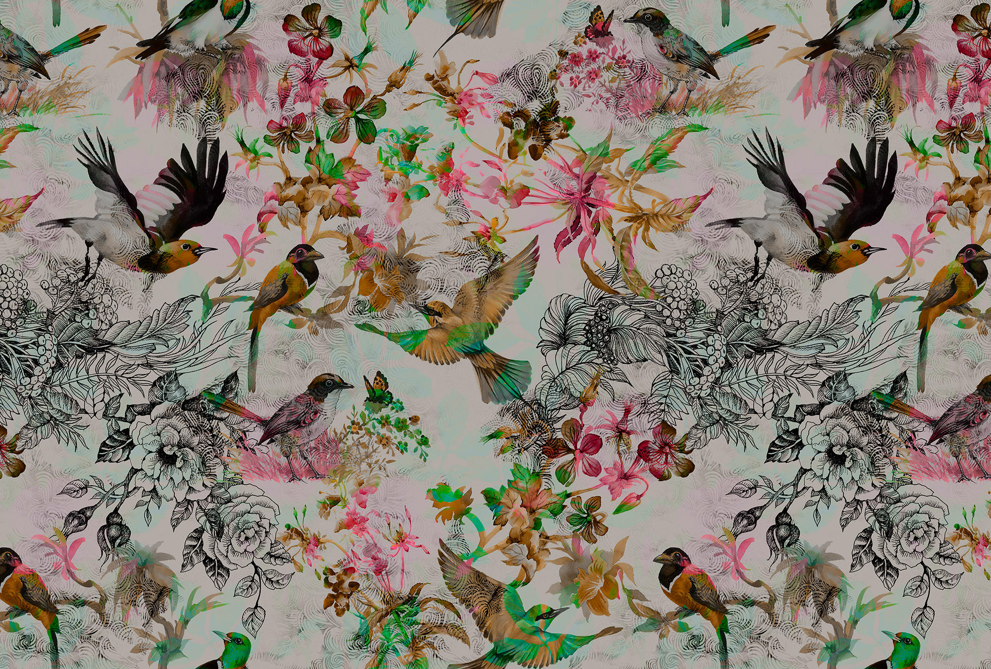 Walls By Patel | Wallpaper Funky Birds