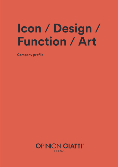 Icon / Design / Function / Art  Company Profile 2024