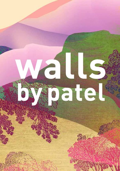 walls by patel