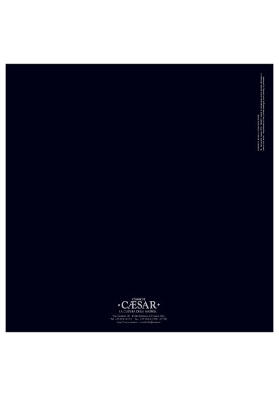 Caesar Catalogue Q2