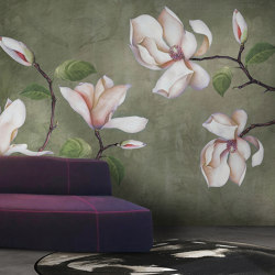 concrete | lilii