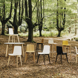 Lottus Wood