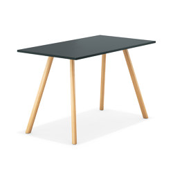 6800 Creva desk