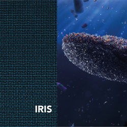 REVIVA | Iris