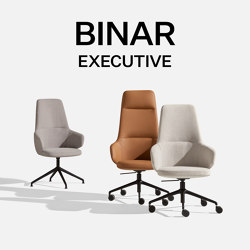 Binar Executive