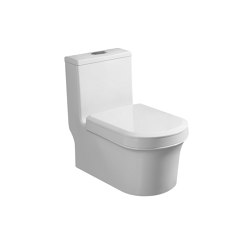 WuduMate Hybrid Toilet