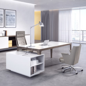 Executive & Meeting Desks