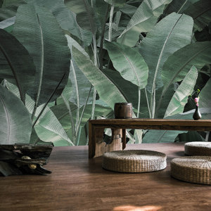 jungle | thai banano