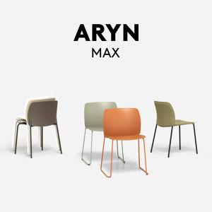 Aryn Max