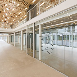 Fully Glazed Partitions
