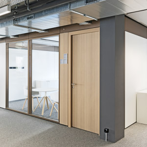 Doors for Partition Systems