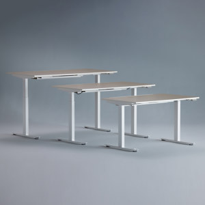 Aeris Active Desk