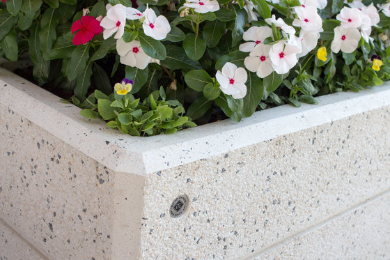 Rectangular Concrete Planter 129 | Pots de fleurs | ETE