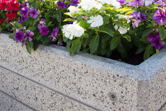 Rectangular Concrete Planter 131 | Pots de fleurs | ETE