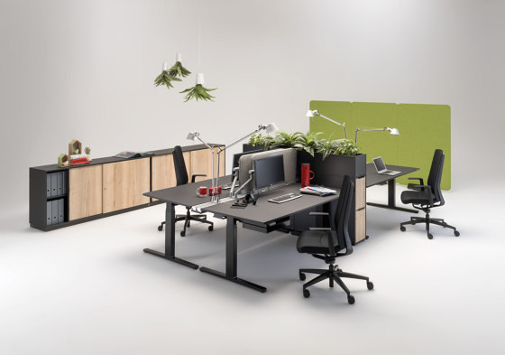 Winea Flow | Desks | WINI Büromöbel