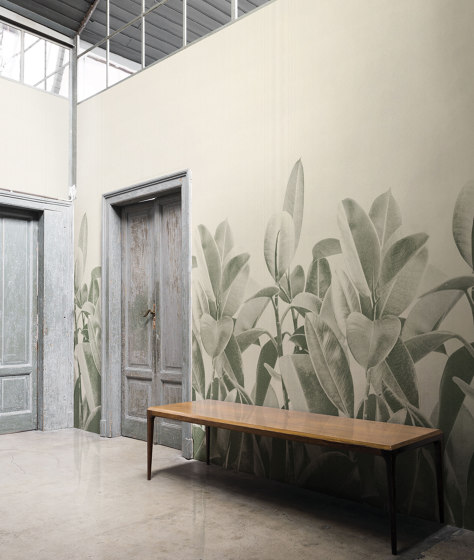 Rubber Plant | Revestimientos de paredes / papeles pintados | LONDONART
