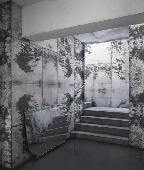 Mirror Lake | Wall coverings / wallpapers | LONDONART