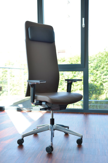 agilis matrix FA | Cantilever with integrated armrests | medium high with extension | Chairs | lento