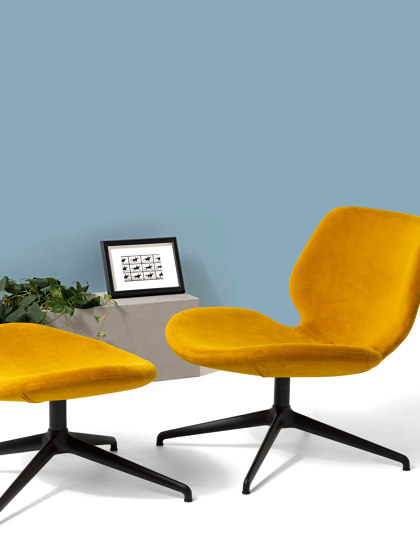 Eon Lounge - Sessel und sofas | Sessel | Diemme