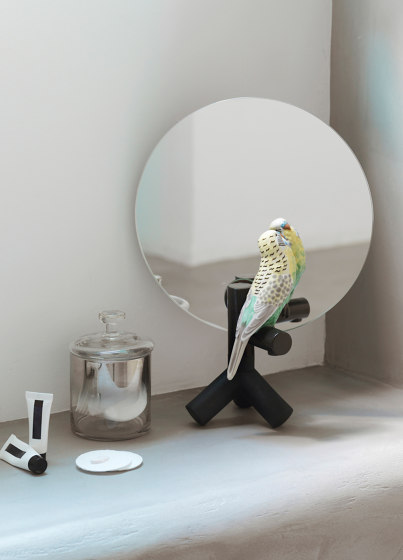 Parrot Shine II | Wall Mirror | Mirrors | Lladró