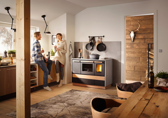 Dachstein Alpin | Wood fired stoves | Lohberger