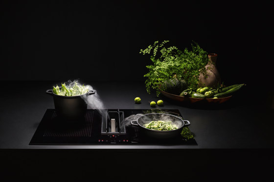 Integrated cooking systems | Piano Single Element | Tables de cuisson | Falmec