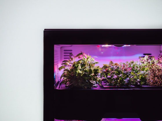 Plantcube | Kitchen cabinets | agrilution