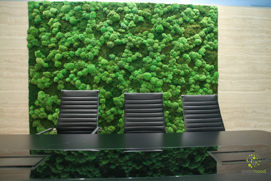 Green Wall Ball Moss | Murs végétaux | Greenmood