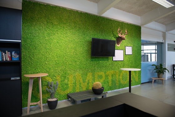 Green Wall Lichen | Living / Green walls | Greenmood