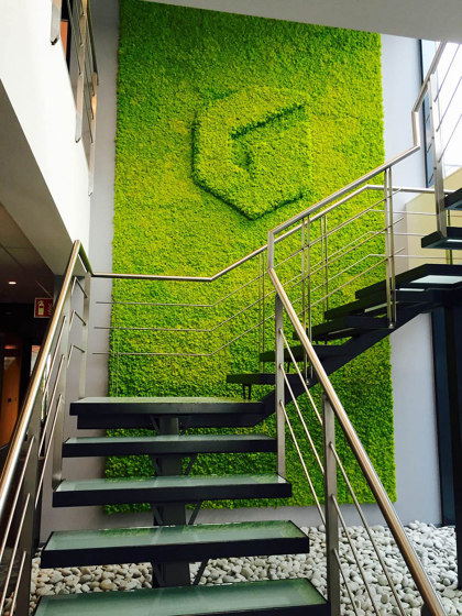 Green Wall Lichen | Murs végétaux | Greenmood