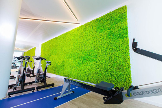Green Wall Lichen | Murs végétaux | Greenmood