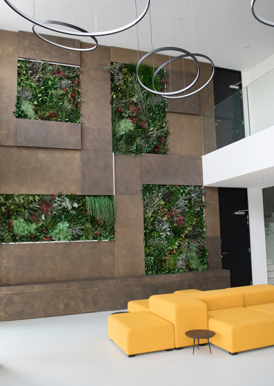Green Walls Dense Forest | Privacy screen | Greenmood