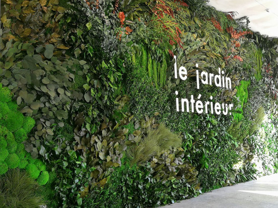 Green Walls Dense Forest | Privacy screen | Greenmood