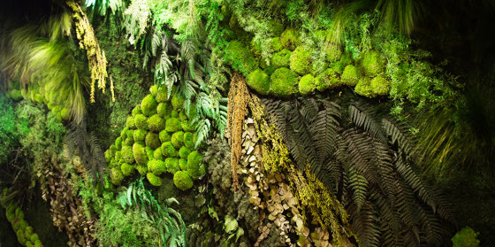 Green Walls Dense Forest | Stellwände | Greenmood